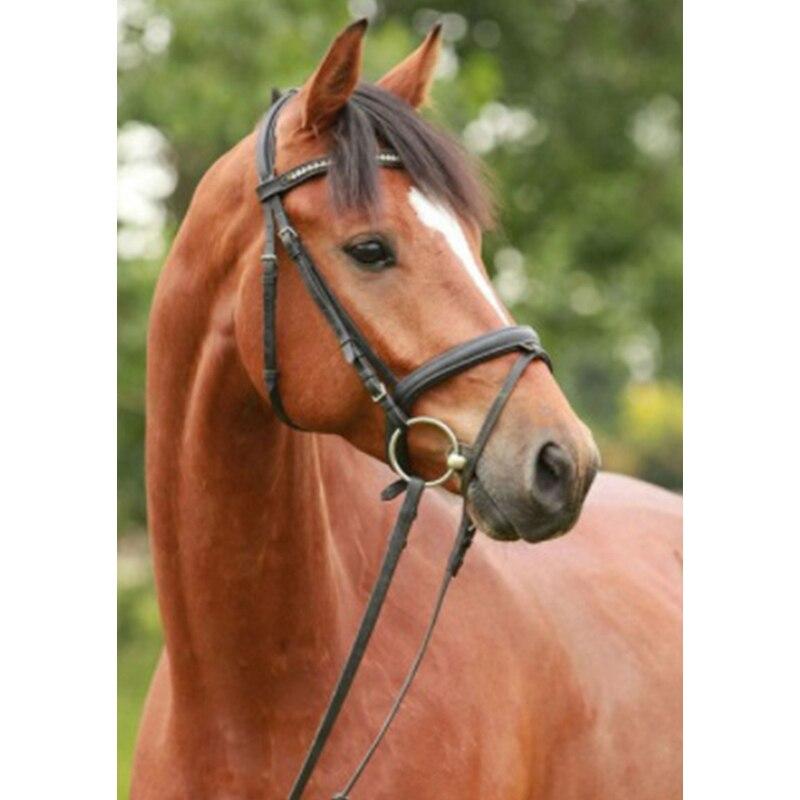 Neue 5D DIY Landschaft Diamant Malerei Pferd Diamant Stickerei Tier Kreuz Stich Volle Runde Bohrer Wohnkultur Manuelle Geschenk