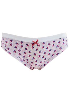 Emy Slip Panties (92694)