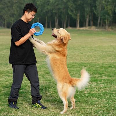 Haustier Zugring Spielzeug TPR Schaumstoff Zugring Leicht und weich, bissfest und schadet den Zähnen Nicht für Welpen geeignet Großer Hund Hundespielzeug