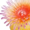 Aquarium Sea Anemone Figures Educational Toys Marine Life Models for Gifts