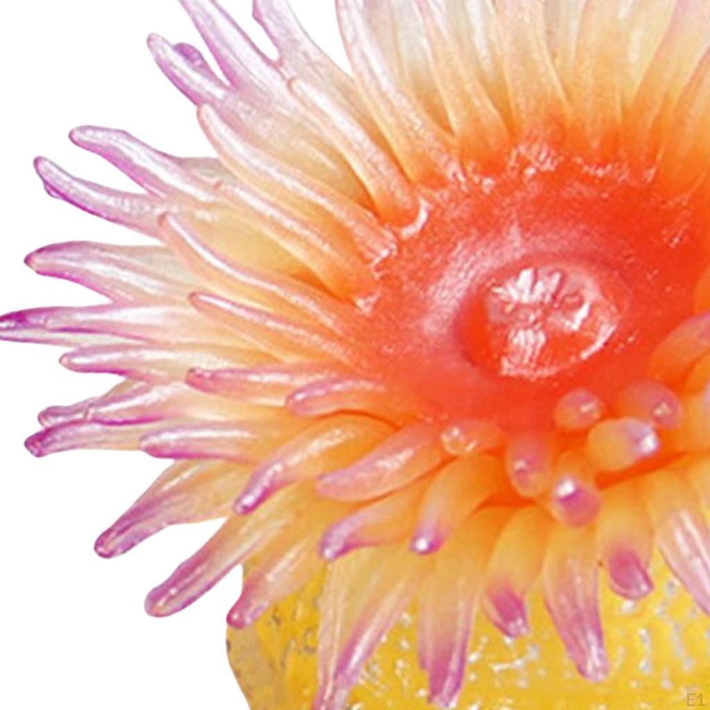Aquarium Sea Anemone Figures Educational Toys Marine Life Models for Gifts