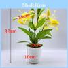 Var Lilium Brownii Viridulum Baker Potted Plant For Living Room Decor
