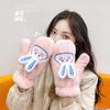 Cartoon Plush Gloves Winter Women's Plush Thermal Gloves Student Riding Windproof Full Finger Cover Couple Neck Gloves