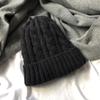 Korean Version Ins Simple Solid Color Twisted Wool Hat Autumn and Winter Warm Hat for Women Knitted Hat Trendy Versatile Men