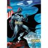 PUZZLE 1000 PREMIUM PLUS BATMAN 10890