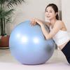 Anti-Burst Gym Ball 65cm Pregnancy Exercise Balance Ball
