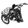 ONESPORT OT30 Pro Adult Electric Tricycle 500W 48V18AH Electric Cargo Tricycle 20 Inch All-Terrain Tires E-Tricycle City E-Cargo Tricycle