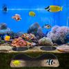 Aquarium Decorative Tunnel for Fishtanks Hiding Shelte Cave Tunnel Safe ABS for Underwater Landscape Accessories