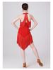 V-Neck Fringe Latin Dance Dress: Sexy Party, Prom, and Performance Costume