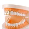 Triple Tone Hip Hop Grillz: Gold, Silver, Rose Gold Double Tooth Smooth Surface Fake Teeth Accessories