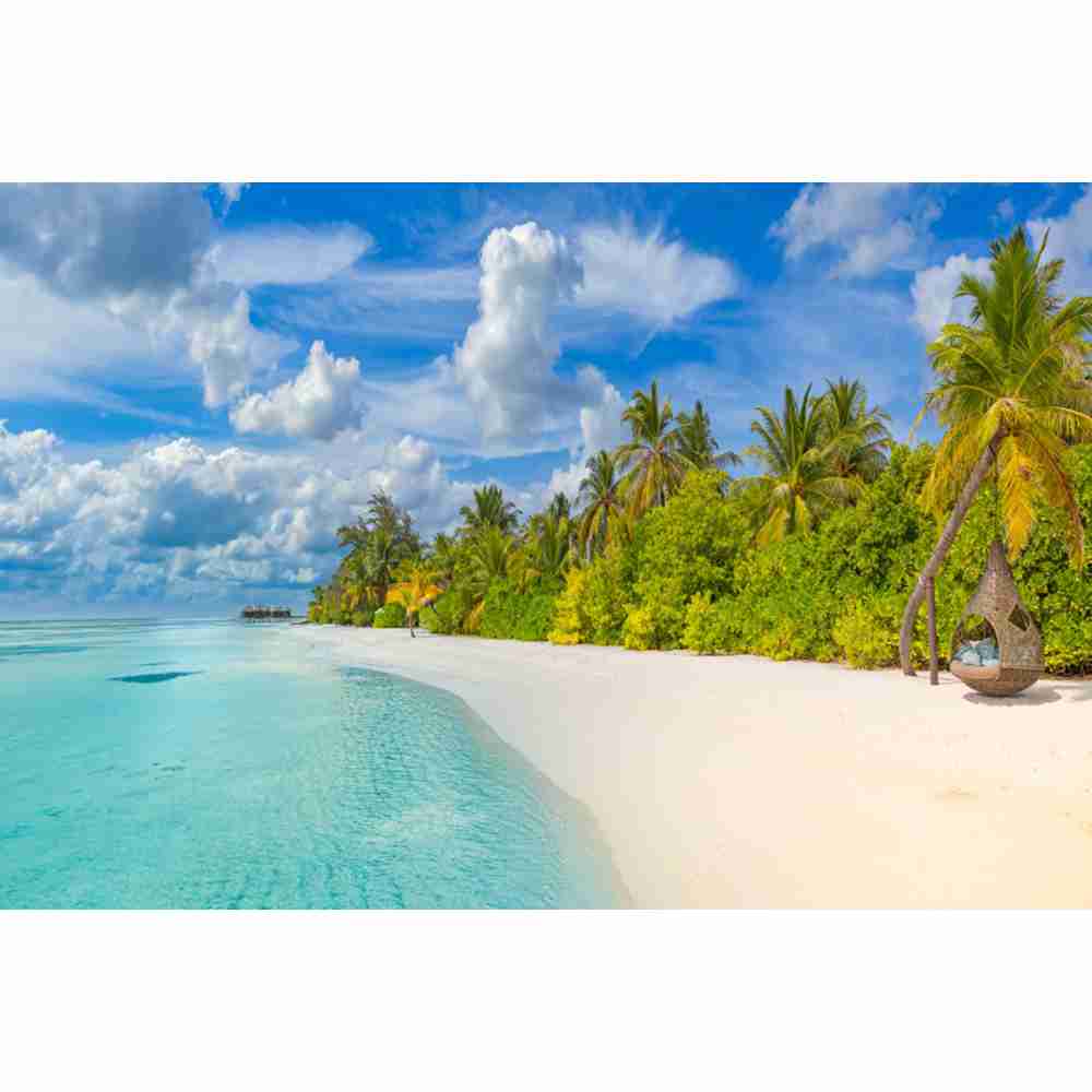 Sommer Strand Wellen Palmen Blauer Himmel Sonnenaufgang Ozean Thema Kulisse, Geburtstagsparty, Heimdekoration Fotografie Kulissenstoff