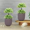 Set of 2 Artificial Topiary, 22x10 Cm, for Home/Office Décor, Greenery In Brown Plastic Pot