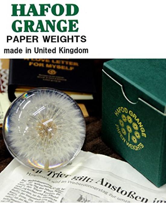 HafodGrange Flower HG18S Paperweight, Small, Forget-me-not,