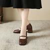Fashion 2025 Shoes for Women Mary Janes Women's High Heels Retro Dress Pumps Women Square Toe Chunky Heels Buckle Strap Shoes Ladies