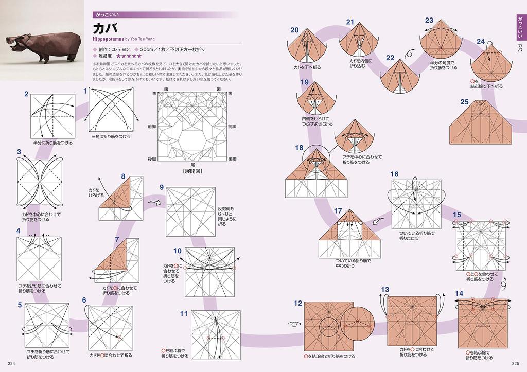 Elegant Origami