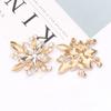 Water Drop Rhinestone Flower Leaf Alloy Fashion Bow Tie & Shoe Ornament Accessory.