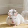 Cute Adjustable Hamster Chef Hat Comfortable Decorative Pet Costume Hat Breathable Pet Dress Up Hat Pet Show