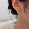 Cubic Zircon Earrings Delicate Simple Temperament Senior Sense Versatile Ins Style Earrings Trendy Gift Elegant Lady's Accessories Classic Jewelry