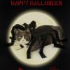 Halloween Dog Cat Clothes Pet Cats Dogs Cosplay Funny Spider Costume Halloween Party Costumes for Small Medium Dog Cats Costumes