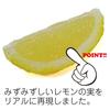 Food Sample Lemon Looks Like You Want to Eat 320K [Coconut Accessories] Keychain Wedges, Them,
