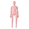 Nursing Training Manikin, Male Life Size Demonstration Human Manikin for Nursing Training, Multifunctional Education Teaching Model Supplies, PVC