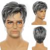 Cosplay Herren Synthetische Perücken Grau und Weiß Kurz Gerade Perücke Kostümparty
