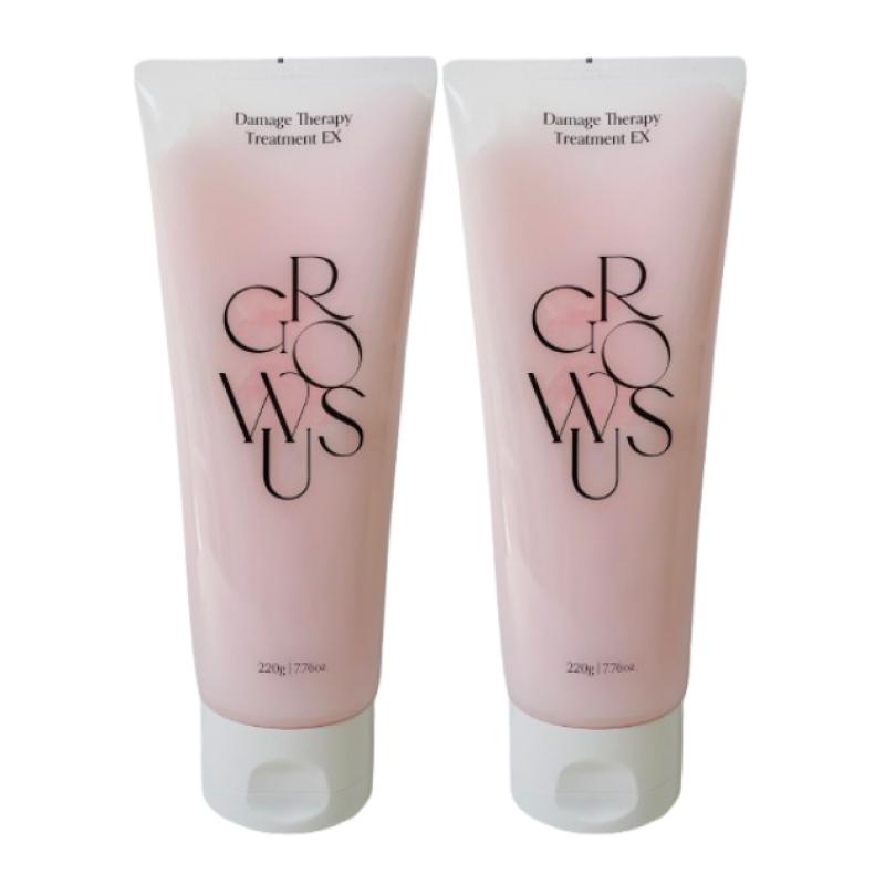 Growus Damage Therapy Treatment EX Intensive Protein Repair & Smoothing Care 220g x 2 Set