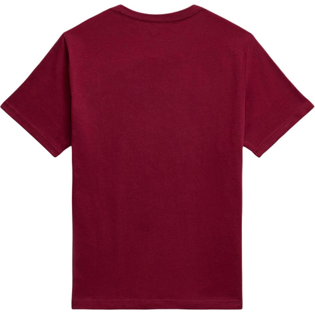 Polo Ralph Lauren Embroidered Pattern Round Neck Short Sleeve T-Shirt Kids Tops 323832904-200