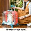 Transparent Cat Stroller 4 Wheels Sturdy Cheap Transport Stroller Cat Puppy Carrier Trolley Case Luxury Pets Supplies Outdoor