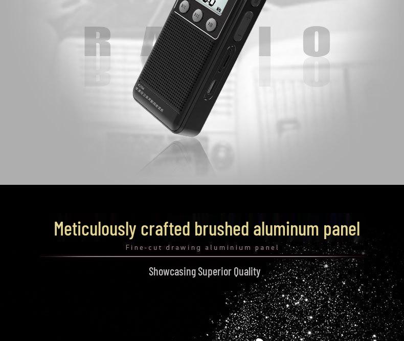 Panda6204 Mini Full Band Portable Radio Player