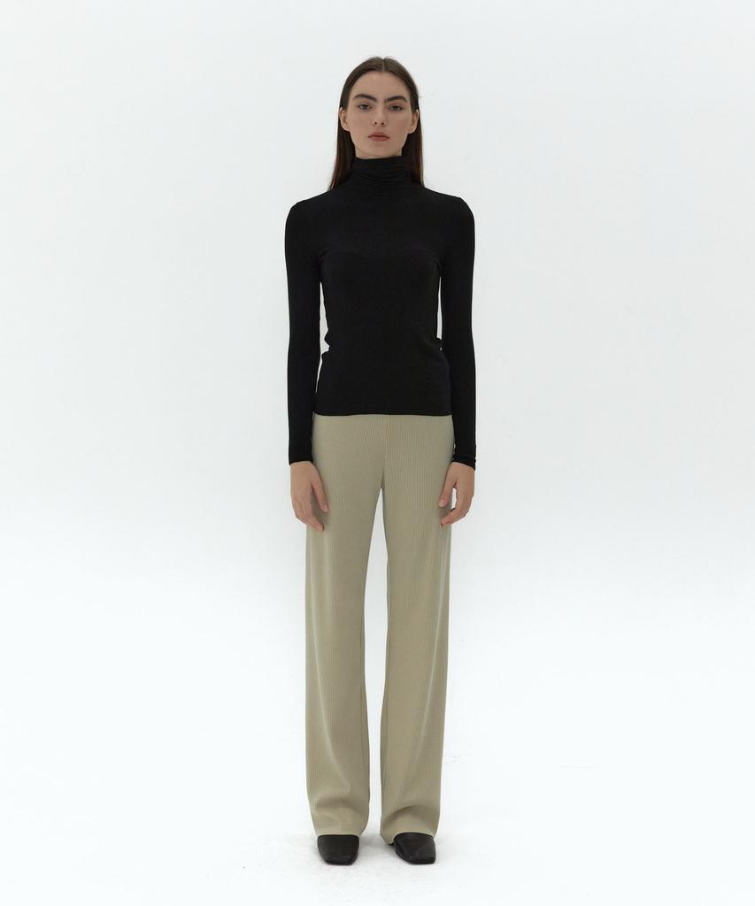 38 Come On Common 21Au Soft Slim Turtleneck T-Shirts (Black)