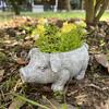 1 Piggy Flower Pot, Minimalist and Cute Pig Resin Flower Pot Statue, Characteristic Garden and Courtyard Decoration Ornament.