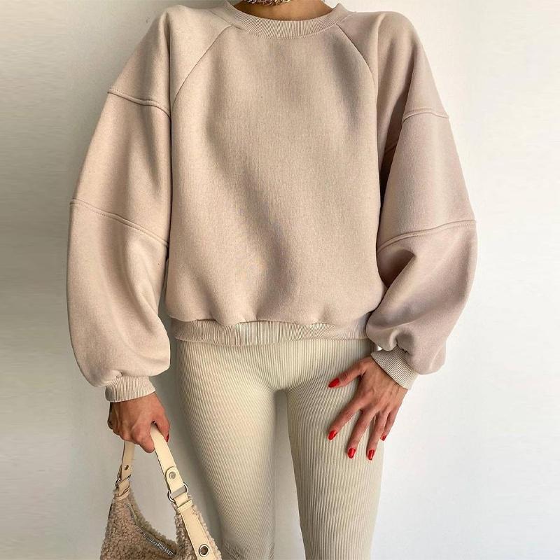 Женская повседневная однотонная базовая толстовка с капюшоном осенняя круглая горловина длинный рукав шикарный свободный универсальный пуловер S верблюд 2339₽