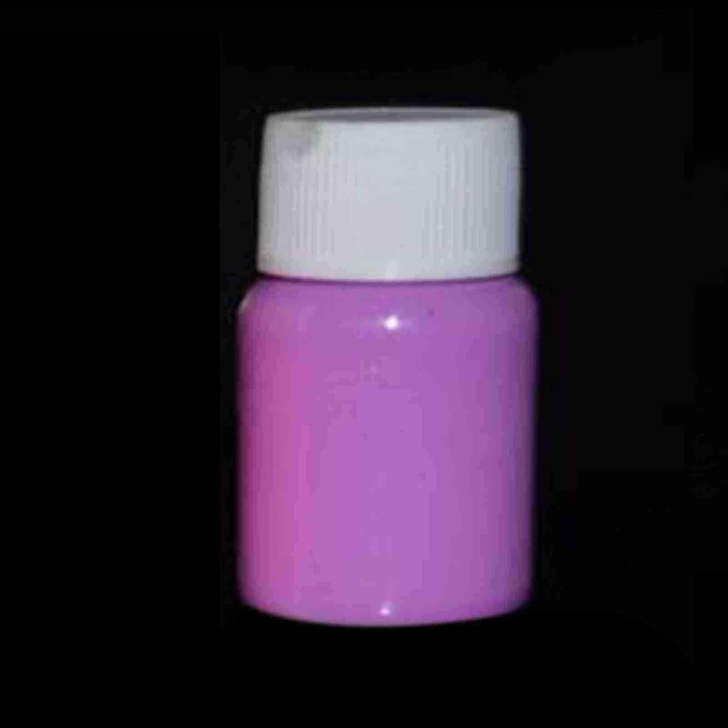 20g Glow In the Dark Fluorescent Colorful Acrylic Luminous Paint Bright Pigment DIY Crafts Painting Tool