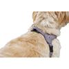 Dog Harness Hunter SOHO MINI Lilac XXS/XS