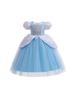 Kız Çocukları için 1 Haziran'a Özel Cinderella Prenses Elsa Kabarık Tül İşlemeli Elbise