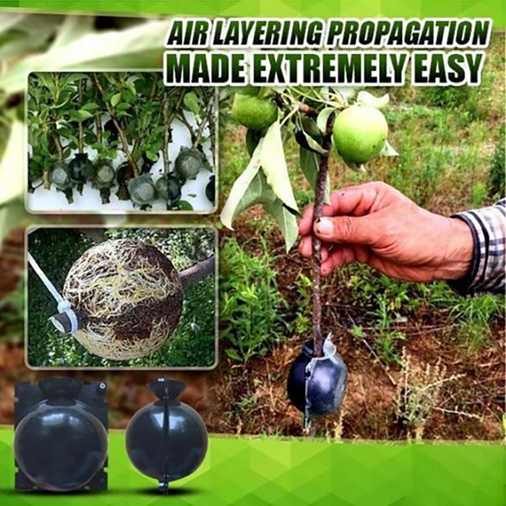 Plant Root Growing High Pressure Plant Rooting Box Propagation Ball Garden Tools