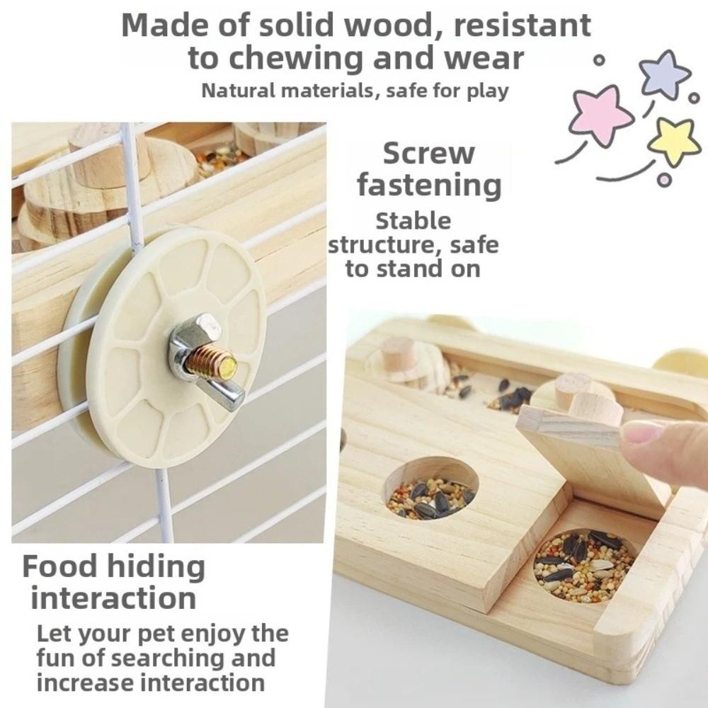 Training Function Parrot Feeding Tray Hanging Pet Food Seek Toy  for Small Pet