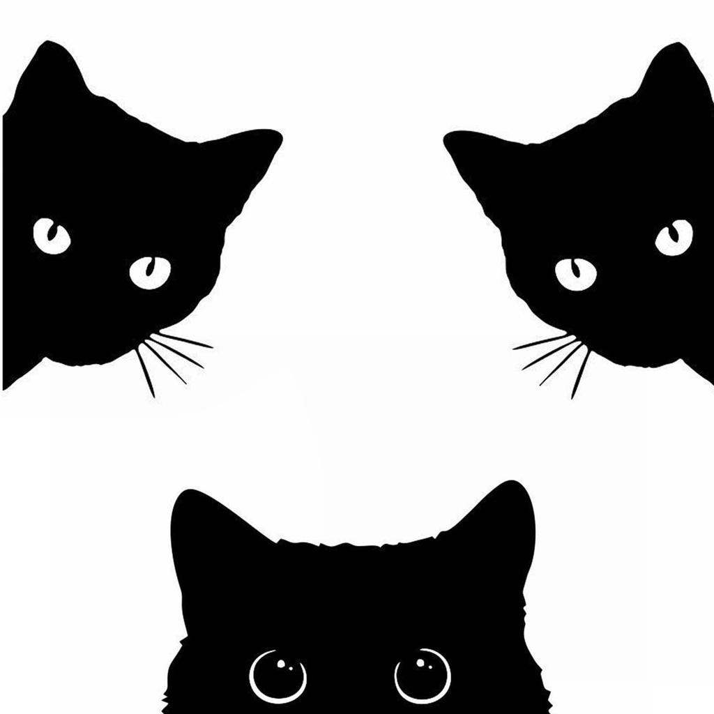 PAVIKE Car Sticker, Funny Sticker, Black Cat, Car Scratches Sticker, Hides Dents, Scratches, Easy