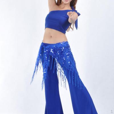 Belly Dance Sequin Belt Fringe Skirt Dancer Perform Practice