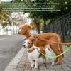 Double Retractable Dog Lead 360°No Tangle Retractable Pet Leash W/ LED