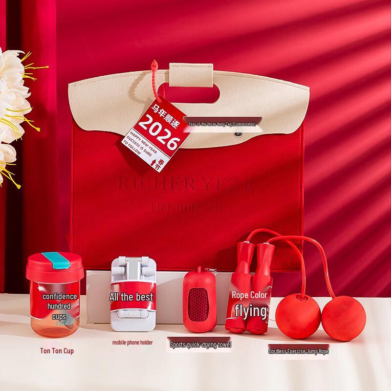 AIQIYIXUAN A1 2026 New Year Gift Set