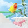 Non-slip Bird Standing Perches Stick Resin Bird Chew Rod Bird Grinding Claw Stick  Budgie