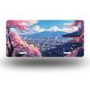 Car License Plate Metal Wall Decor 15x30cm