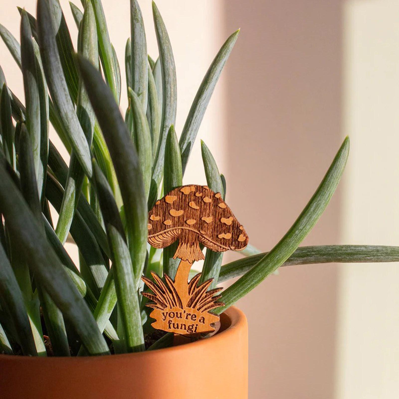 

Украшение сада, маркеры для растений, подарок на новоселье, декор растений, садовый юмор A