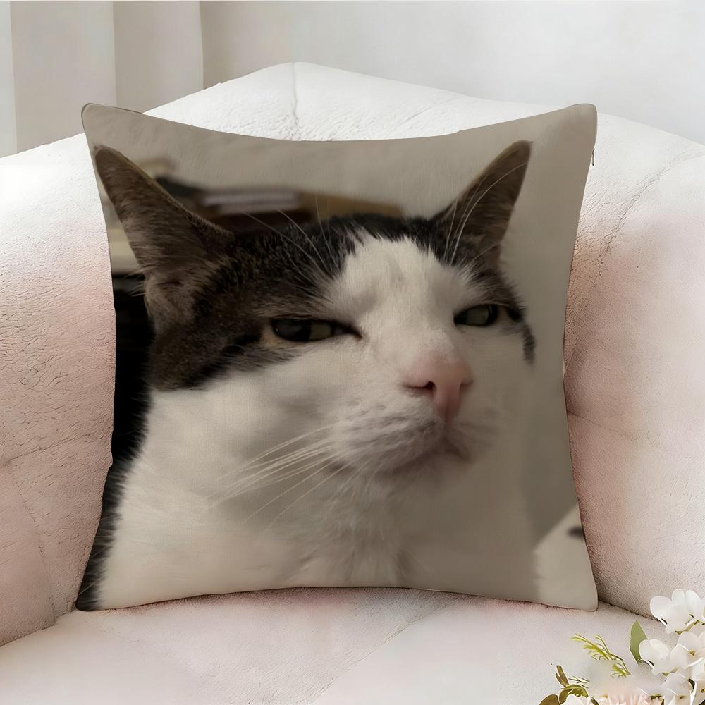Cat Funny MEME Pillow Case Pillowcase Doublesided Printed Sofa Cushion Bedroom Headboard Pillow