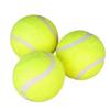 Dog Training & Teething Tennis Ball
