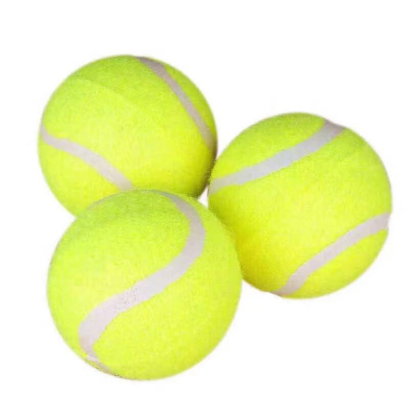 Dog Training & Teething Tennis Ball