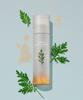 Artemisia lugnande essens (Mist typ) 120 ml