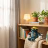 Plush Toys, Cute And Perfect Birthday Gifts For Friends And Classmates, Graduation Gifts